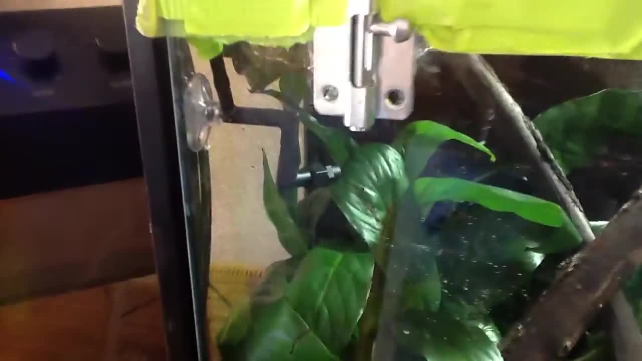 The terrarium where the misting system is used