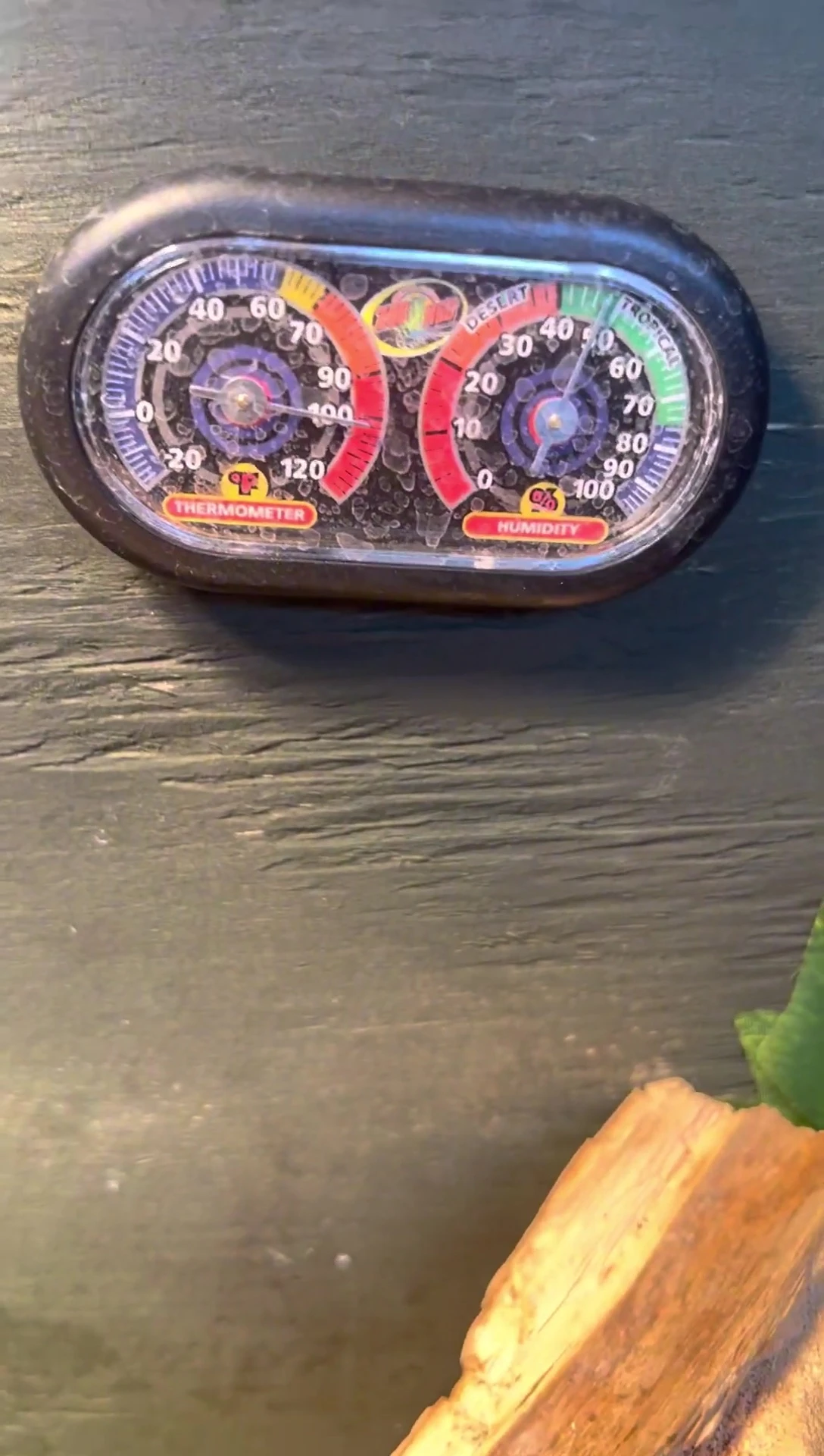 Shot of Astro's enclosure showing the temperature and humidity readings.