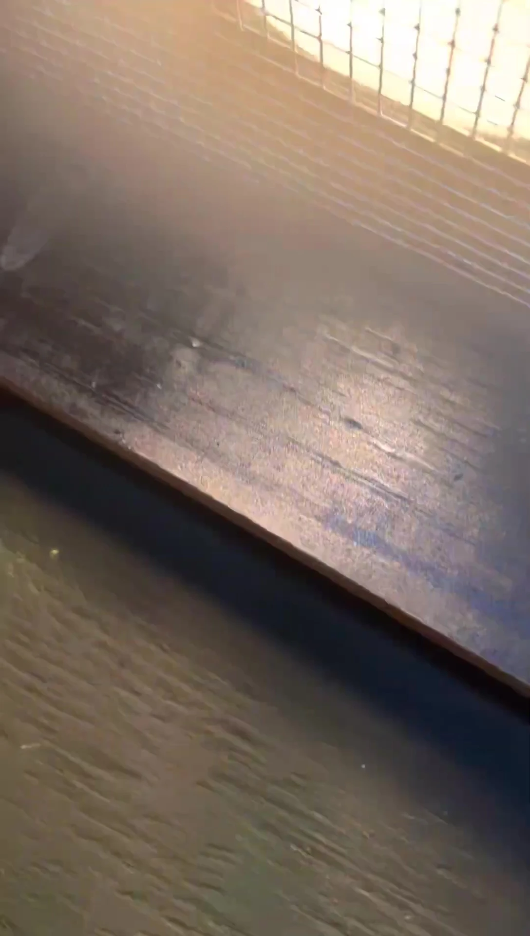 Close up of the basking light placement in Astro's enclosure.