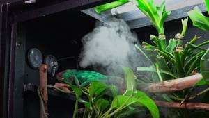 Reptizoo Fogger Review: A Must-Have for Reptile Enclosures?