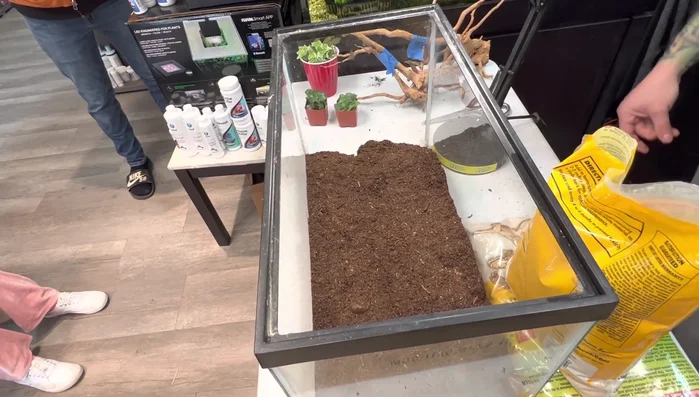 Add a layer of calcium sand (1mm thickness). Avoid using coarser sands like walnut sand to prevent impaction.