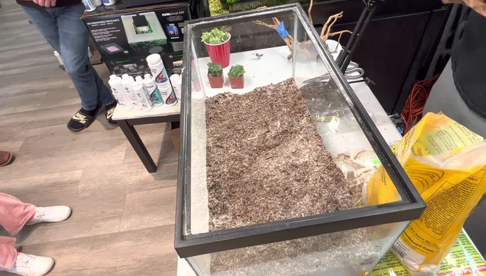 Create a hide and basking spot using driftwood/cork bark, building it up to create a ledge. Ensure a dry top layer to avoid moisture problems.