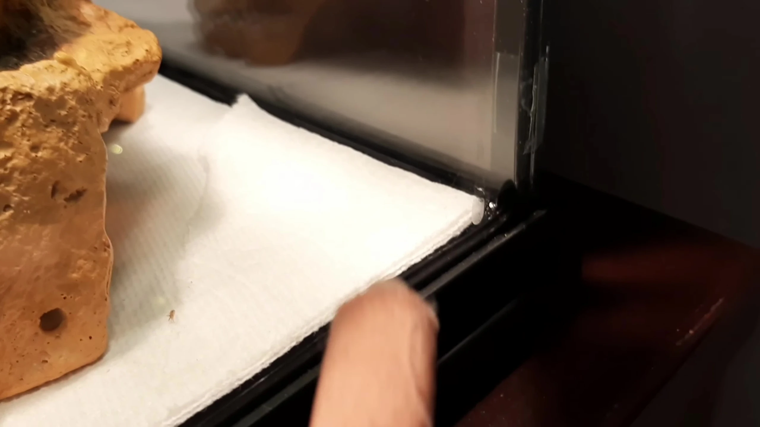 Paper towel in the corner for waste management