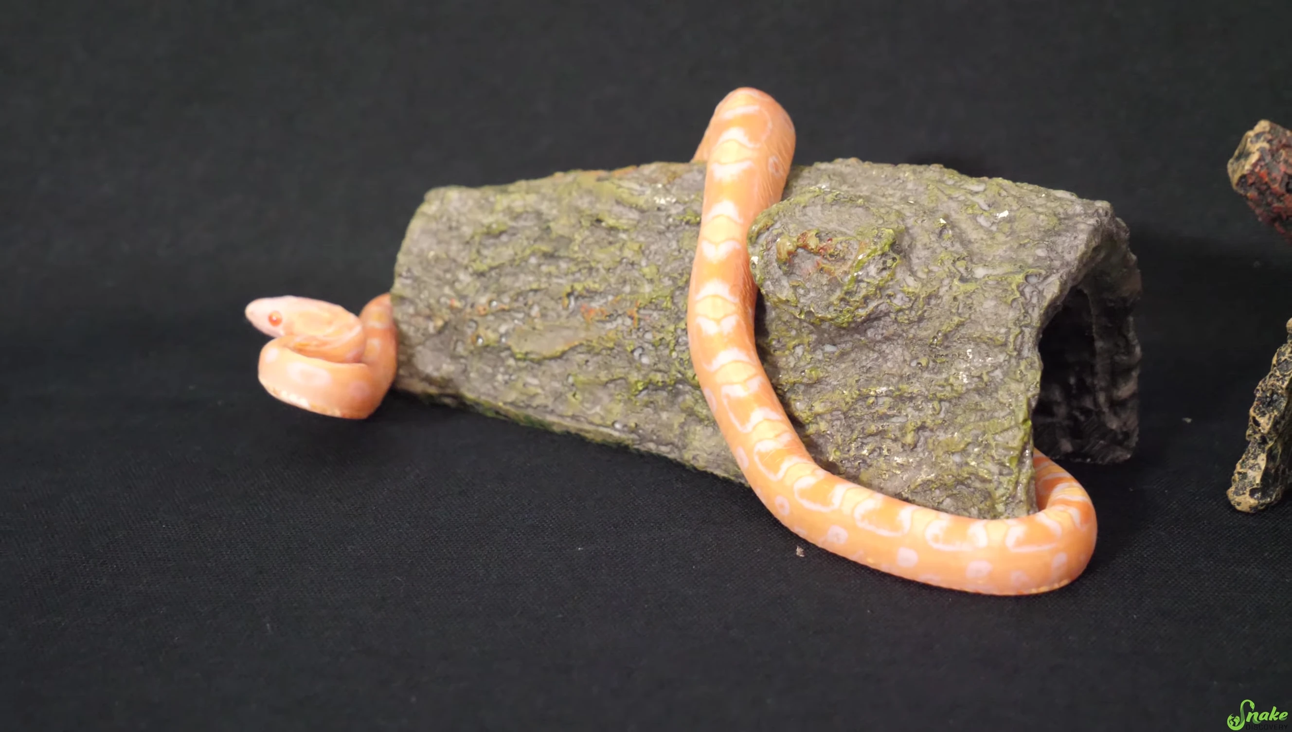 Reptile enclosure decor
