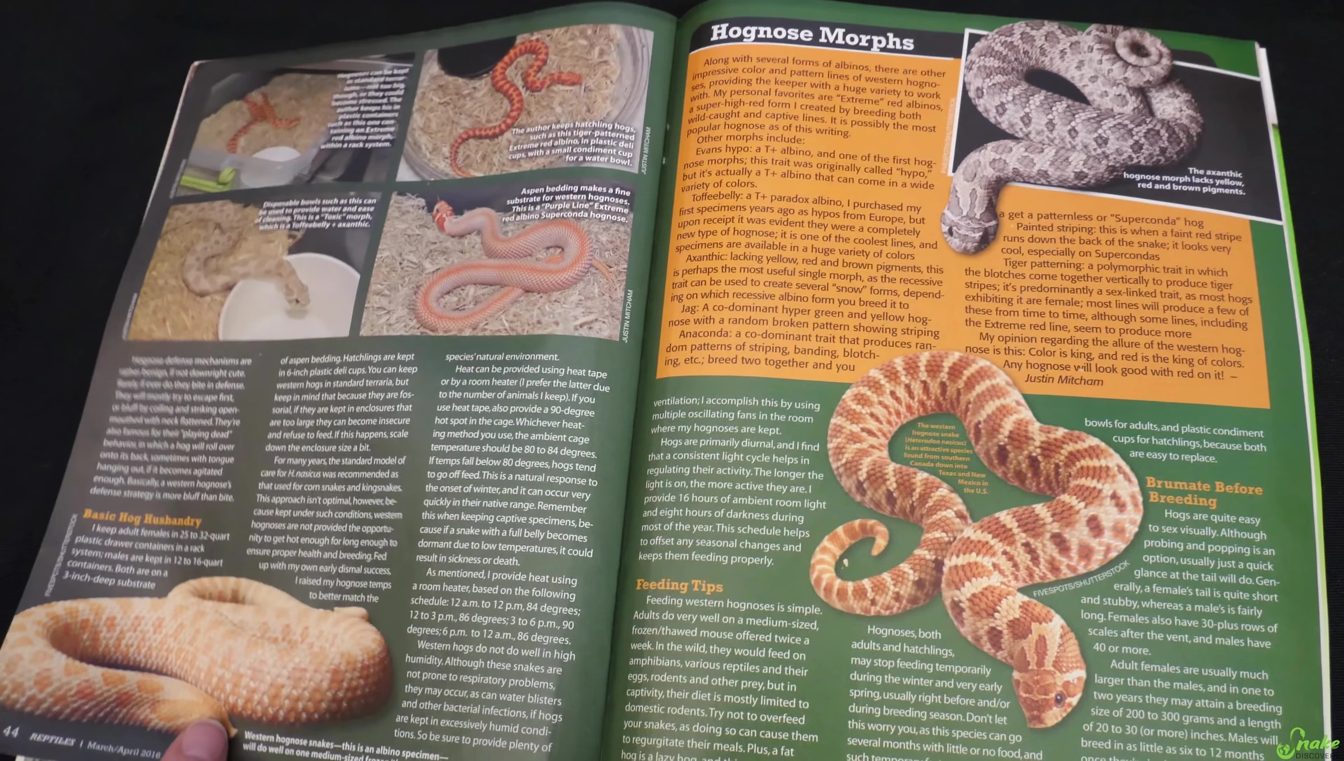 Various snake hooks