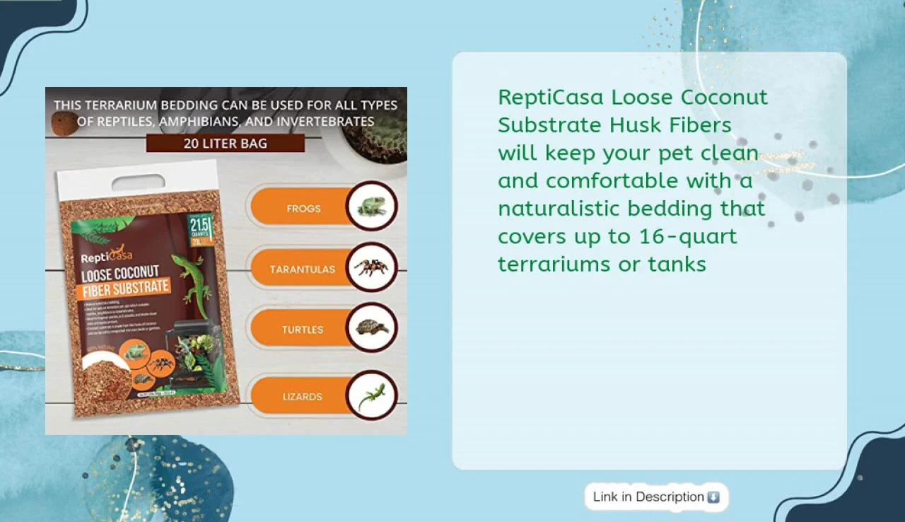 Reptiles in a terrarium with Repti Casa substrate