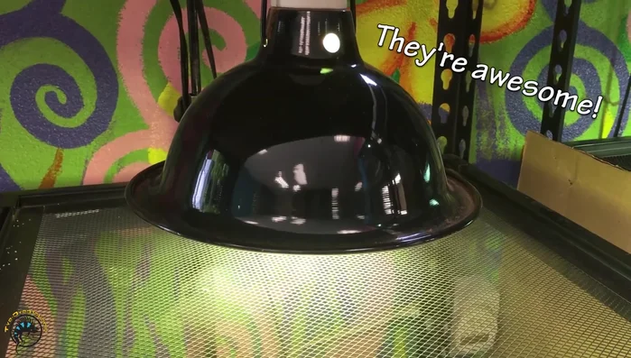 Tighten the knob to secure the lamp in the desired position.