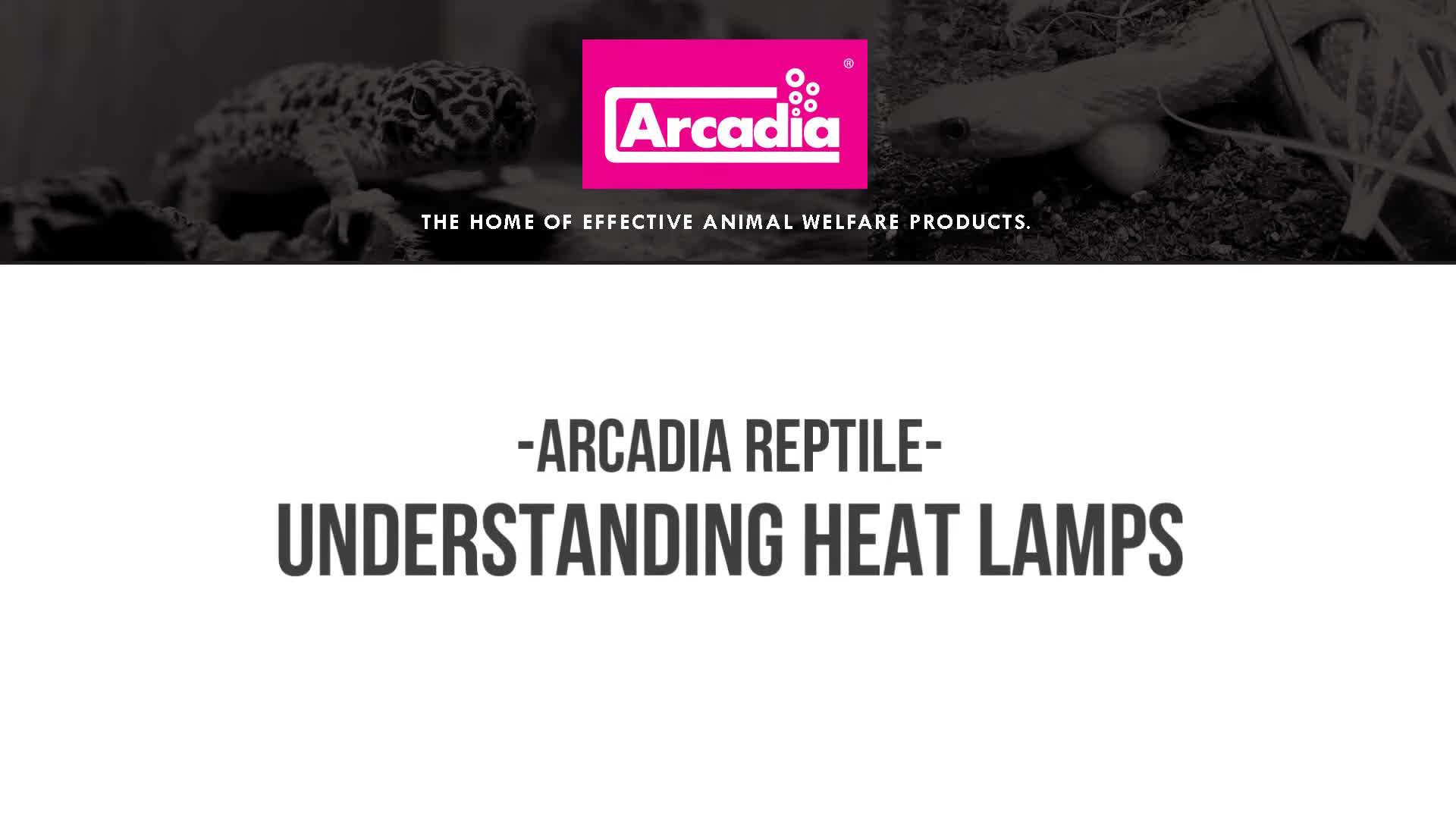 Text overlay explaining ectothermic reptiles