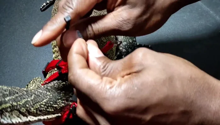 Cut off the excess zip tie with needle-nose pliers.