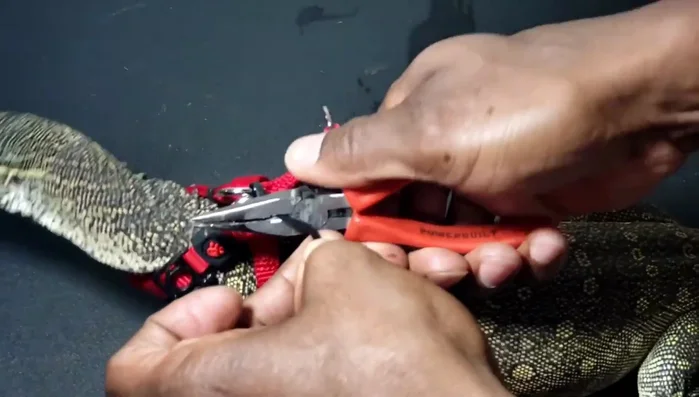 Cut off the excess zip tie with needle-nose pliers.