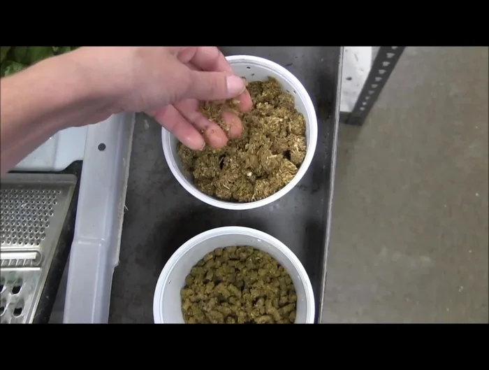 Add pelleted and canned food: Incorporate pre-moistened reptile-specific pelleted food (Zoo Med Bearded Dragon and Tortoise diets are examples) and canned food (e.g., red banana, iguana food) into the mix. This adds nutritional variety.