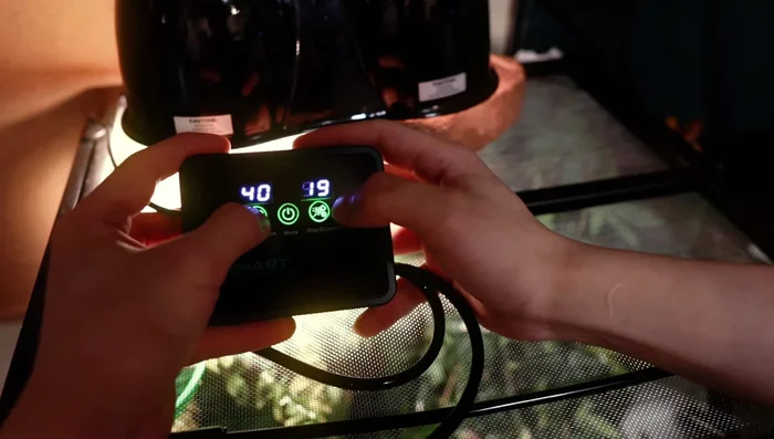 Program the smart box: Set the spray interval (hours) and duration (seconds) using the control panel.