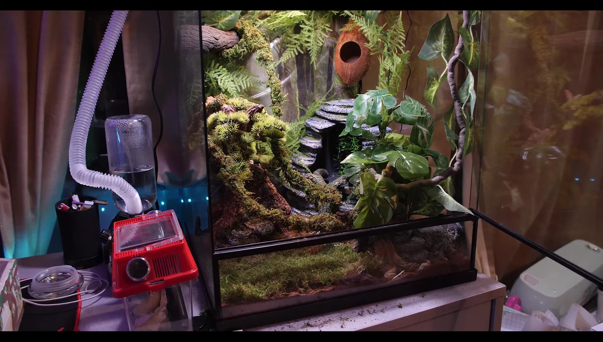 Final arrangement of the terrarium with the Zilla Spring Cave integrated.