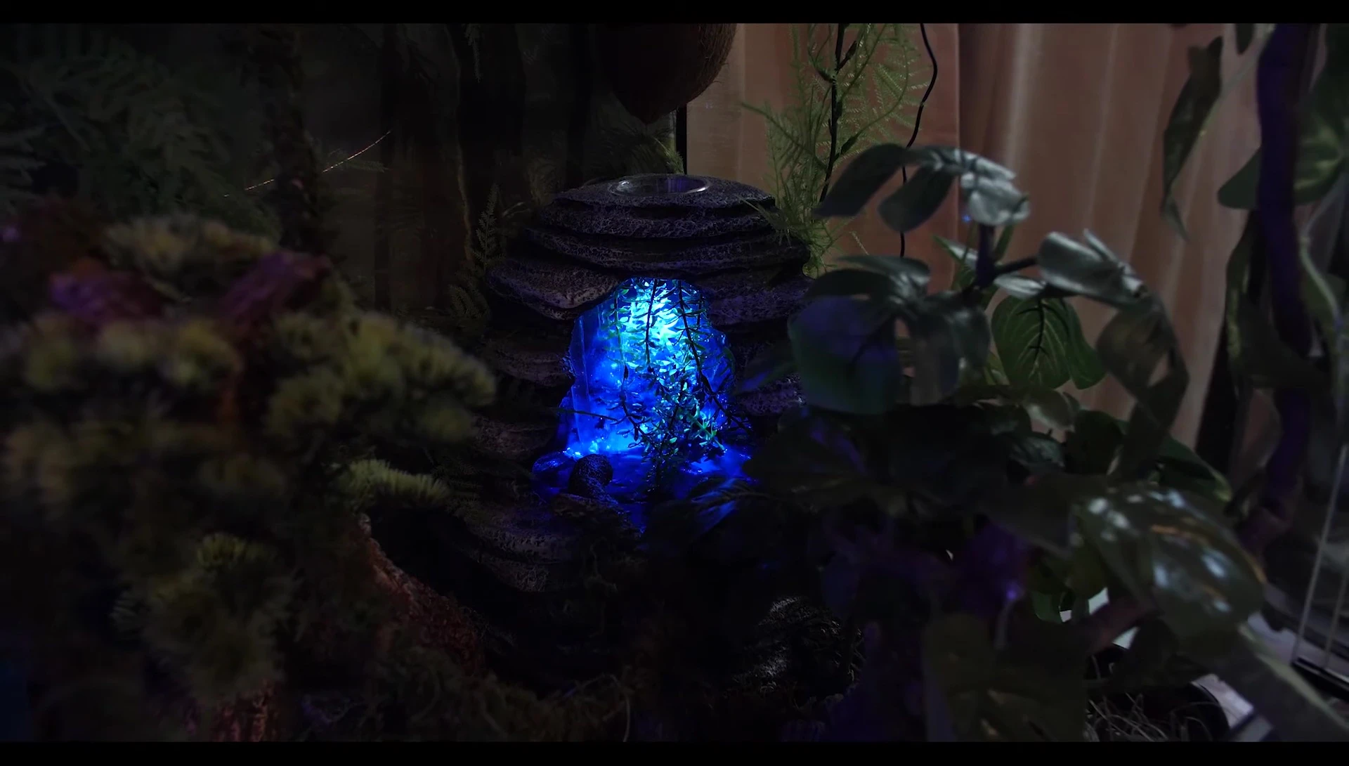 Night view of the Zilla Spring Cave with the night light active.