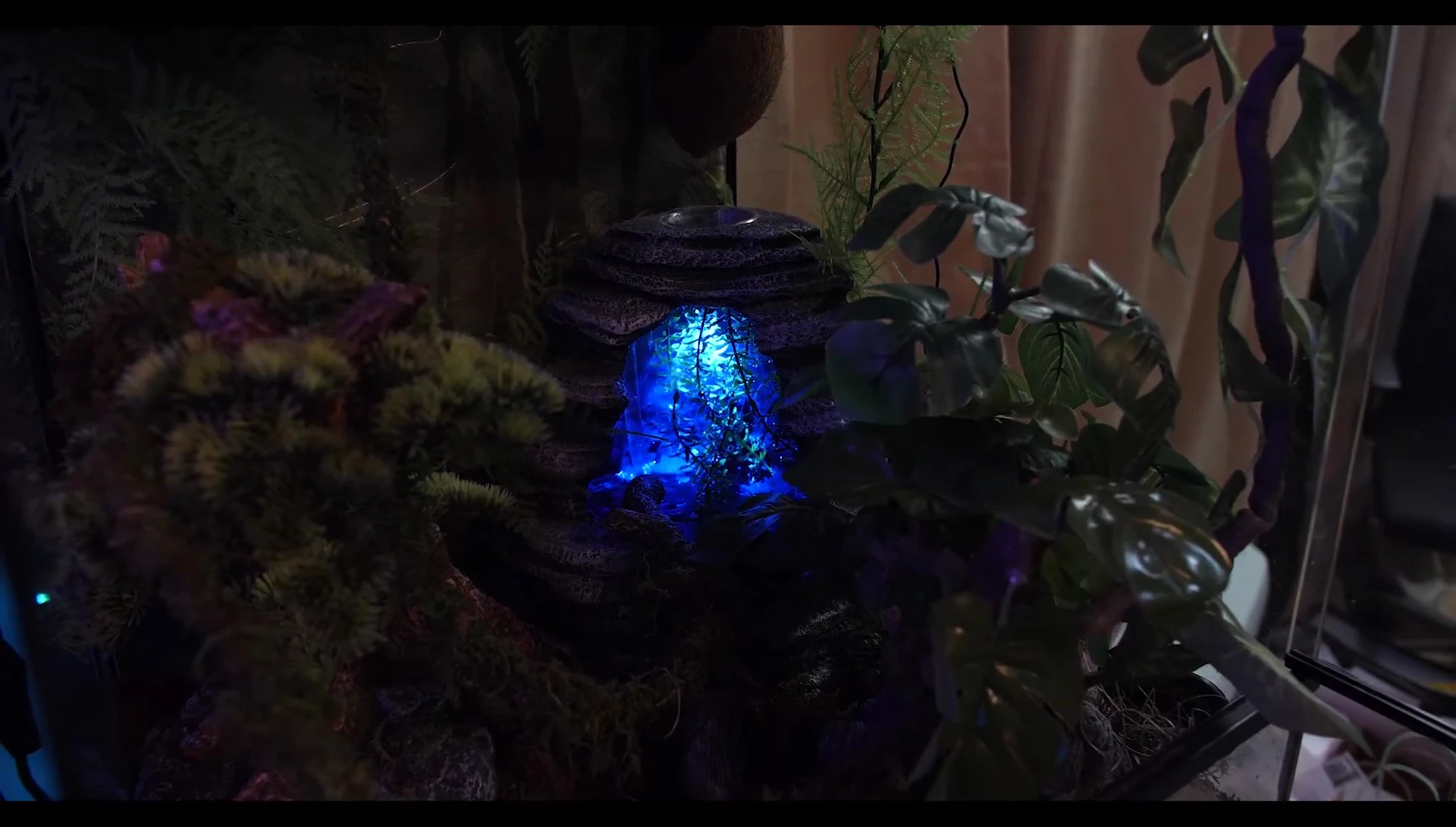 Full view of the terrarium with the Zilla Spring Cave.