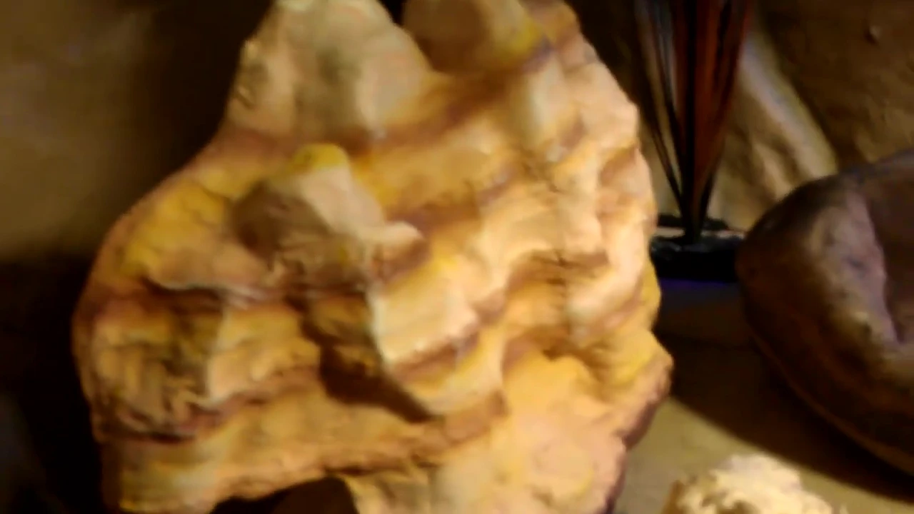 Petco three-tier cave