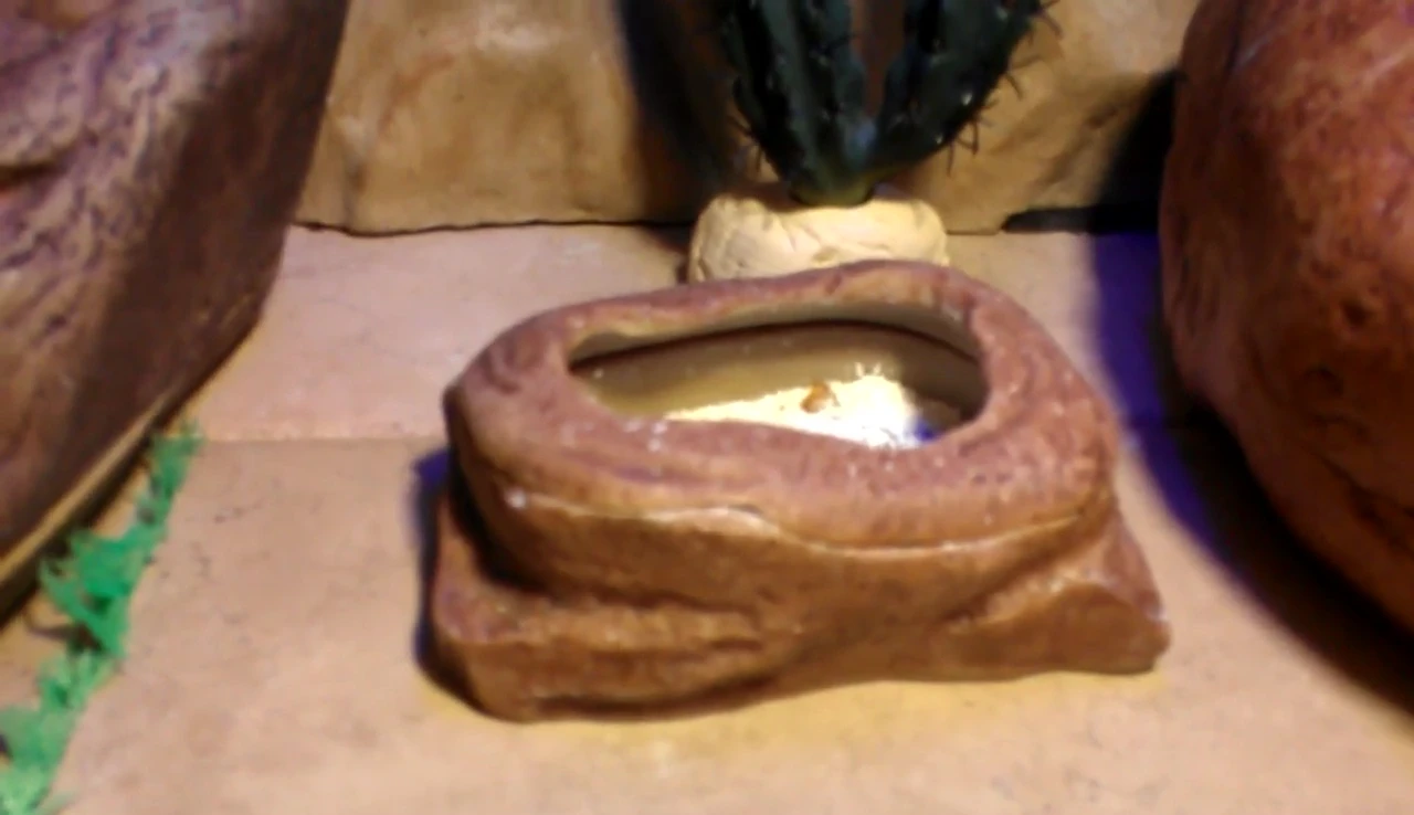ExoTerra Repti Worm Dish