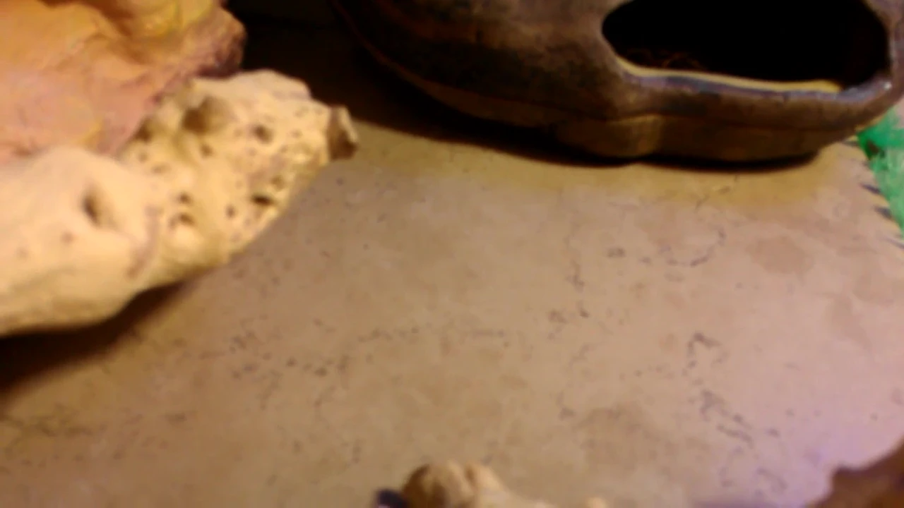 Porcelain tile substrate