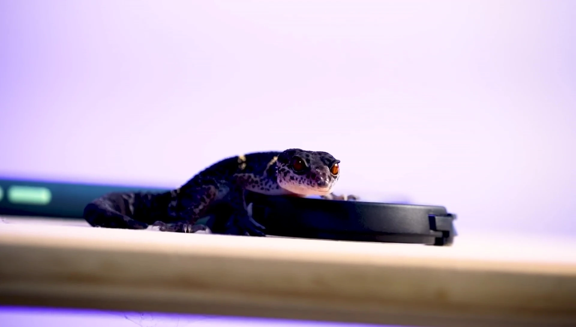 Example of a suitable enclosure