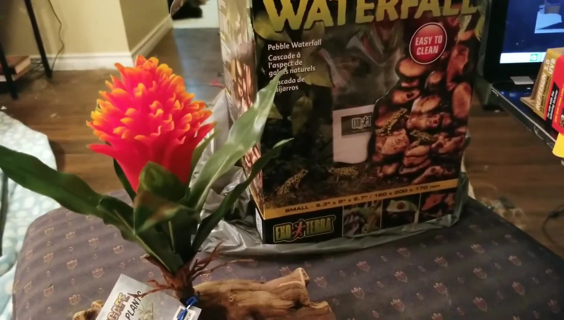 Pet Tech plants on driftwood