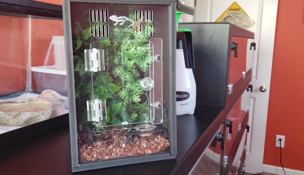 Crested gecko enclosure