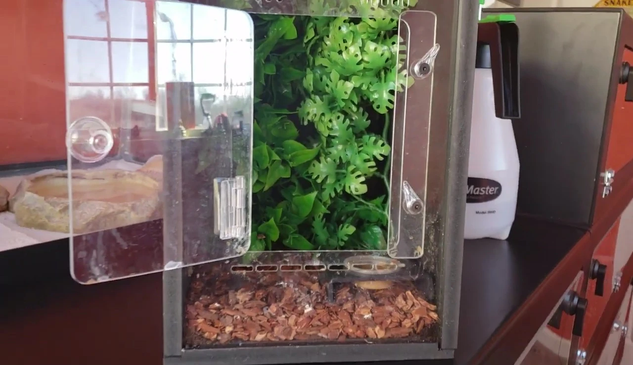 Humidity retention in the crested gecko enclosure