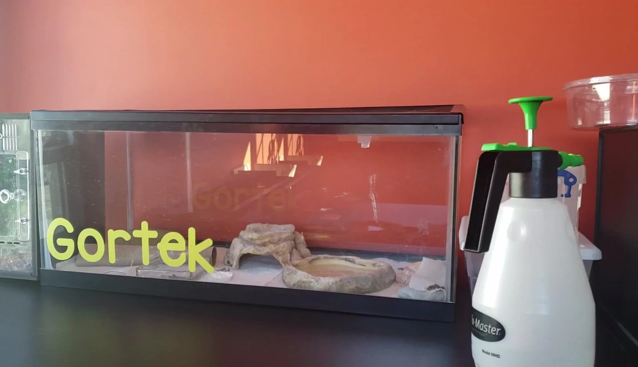 Glass aquarium housing leopard gecko