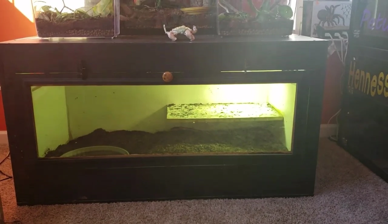 Interior of custom enclosure