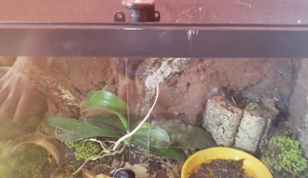 Bioactive enclosure