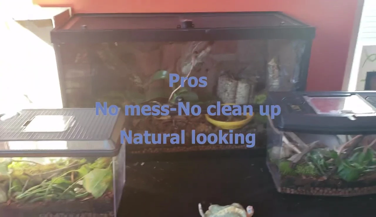 Weight of bioactive enclosure