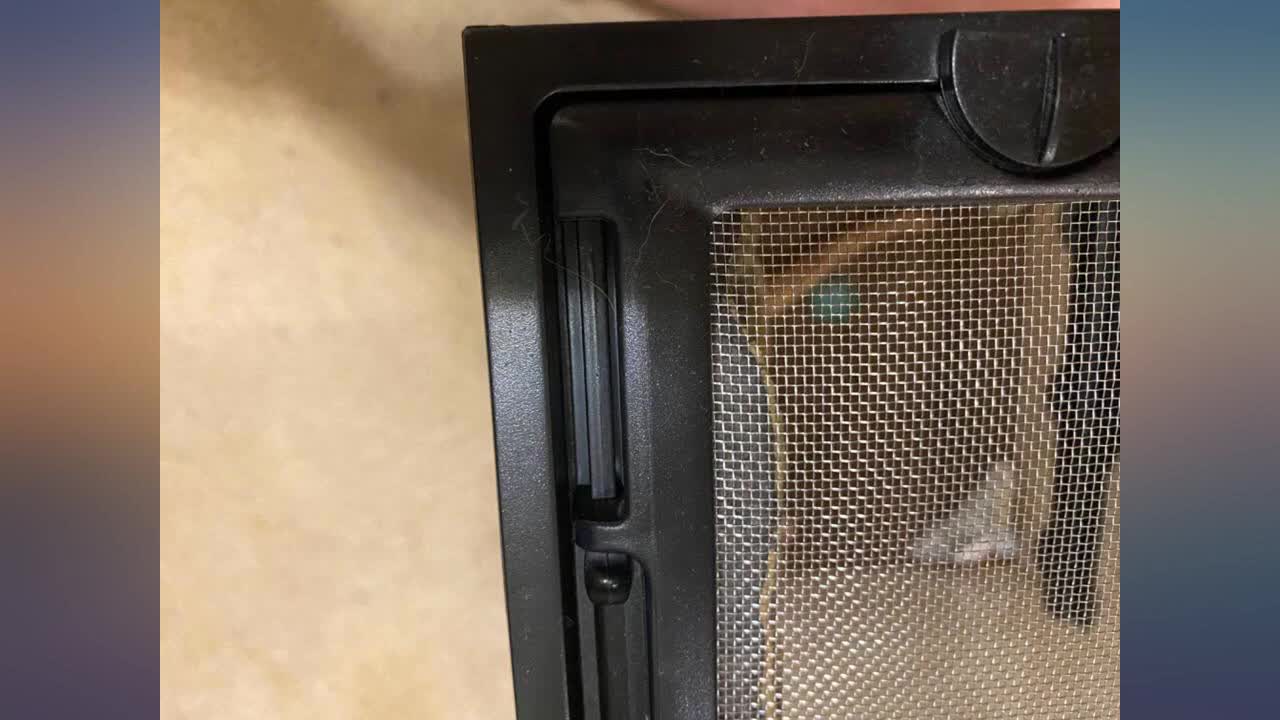 Initial view of the Exo Terra terrarium