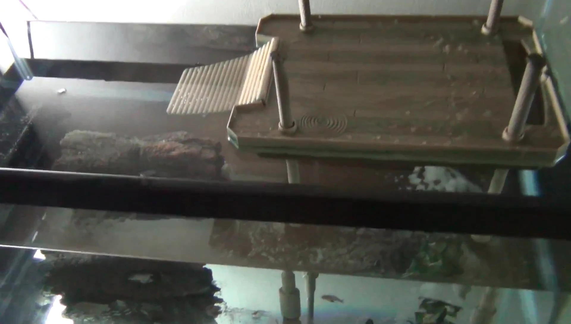 The dock floating in the tank.