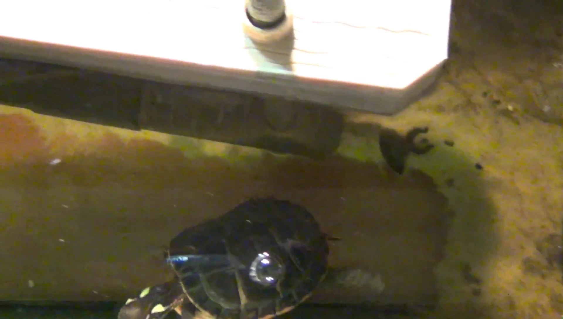Final shot of the reviewer holding the dock.