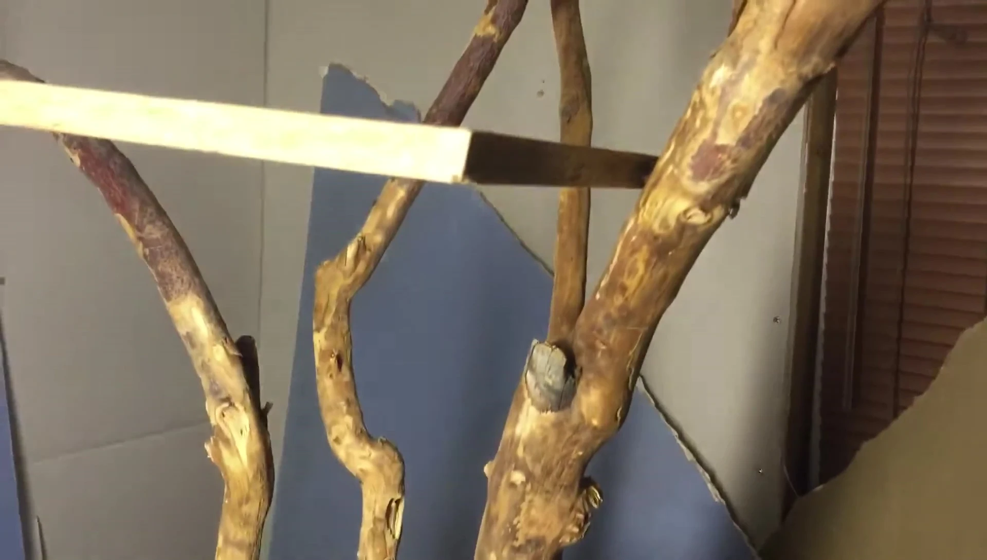 Finished unpainted branch