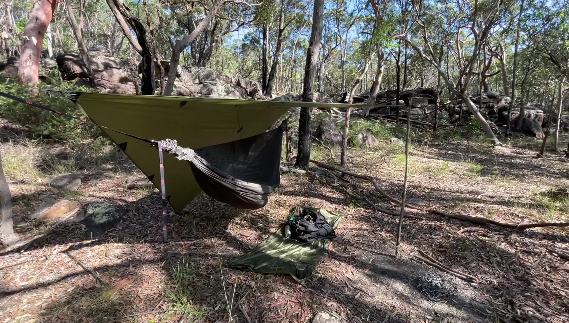Hammock and tarp setup