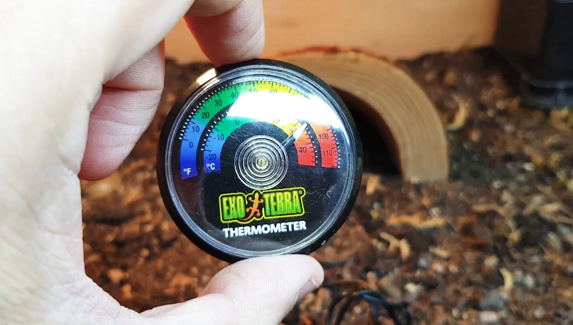 Illustration of the typical placement of a dial thermometer.