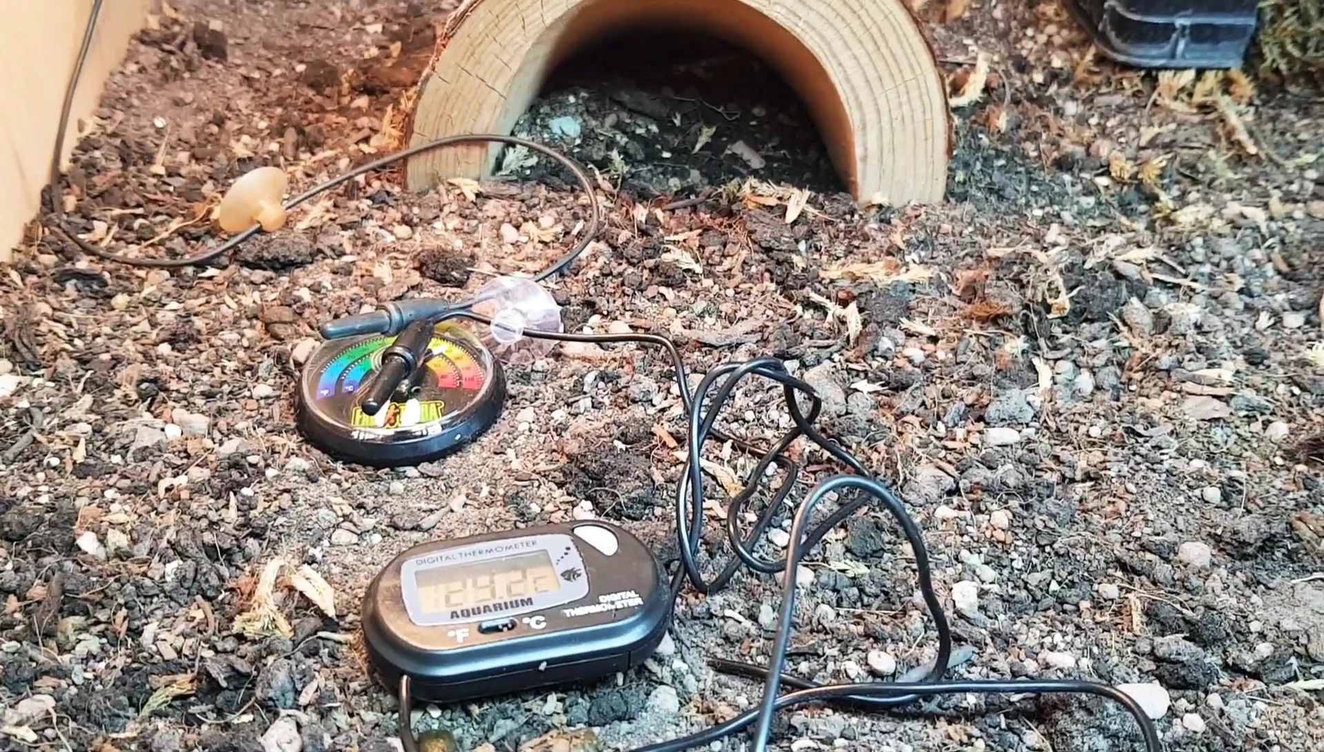 Overview of the tortoise enclosure setup.