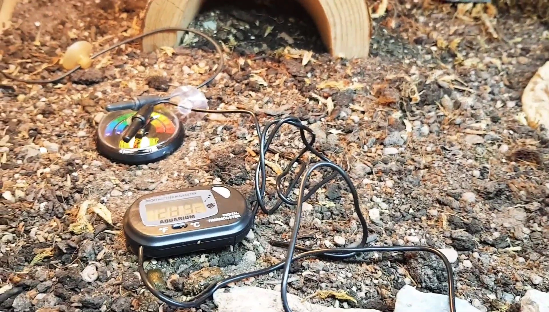 Thermometer reading 29.5 degrees.