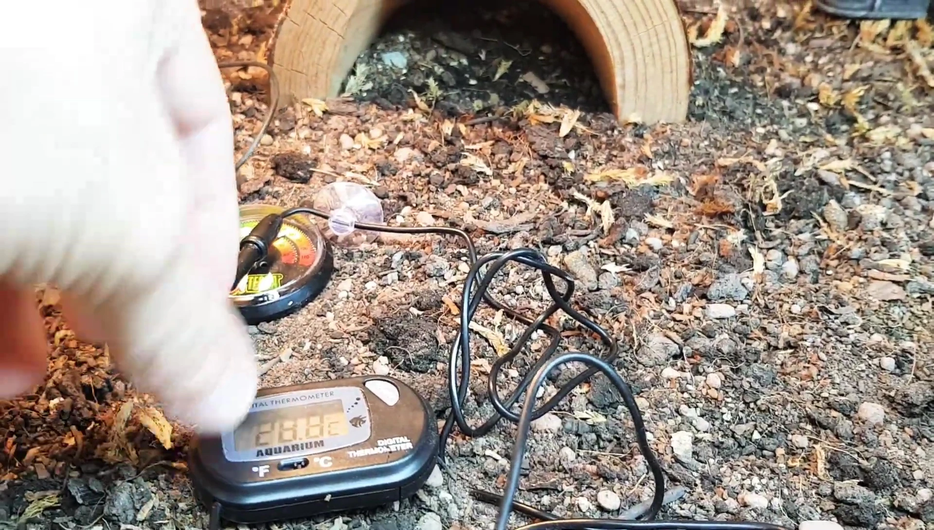 Dial thermometer reading approximately 31 degrees.