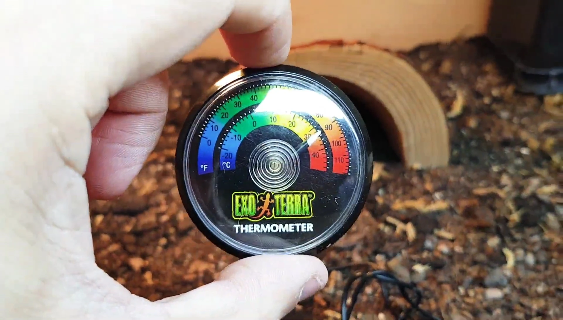 Dial thermometer positioned in the basking zone.