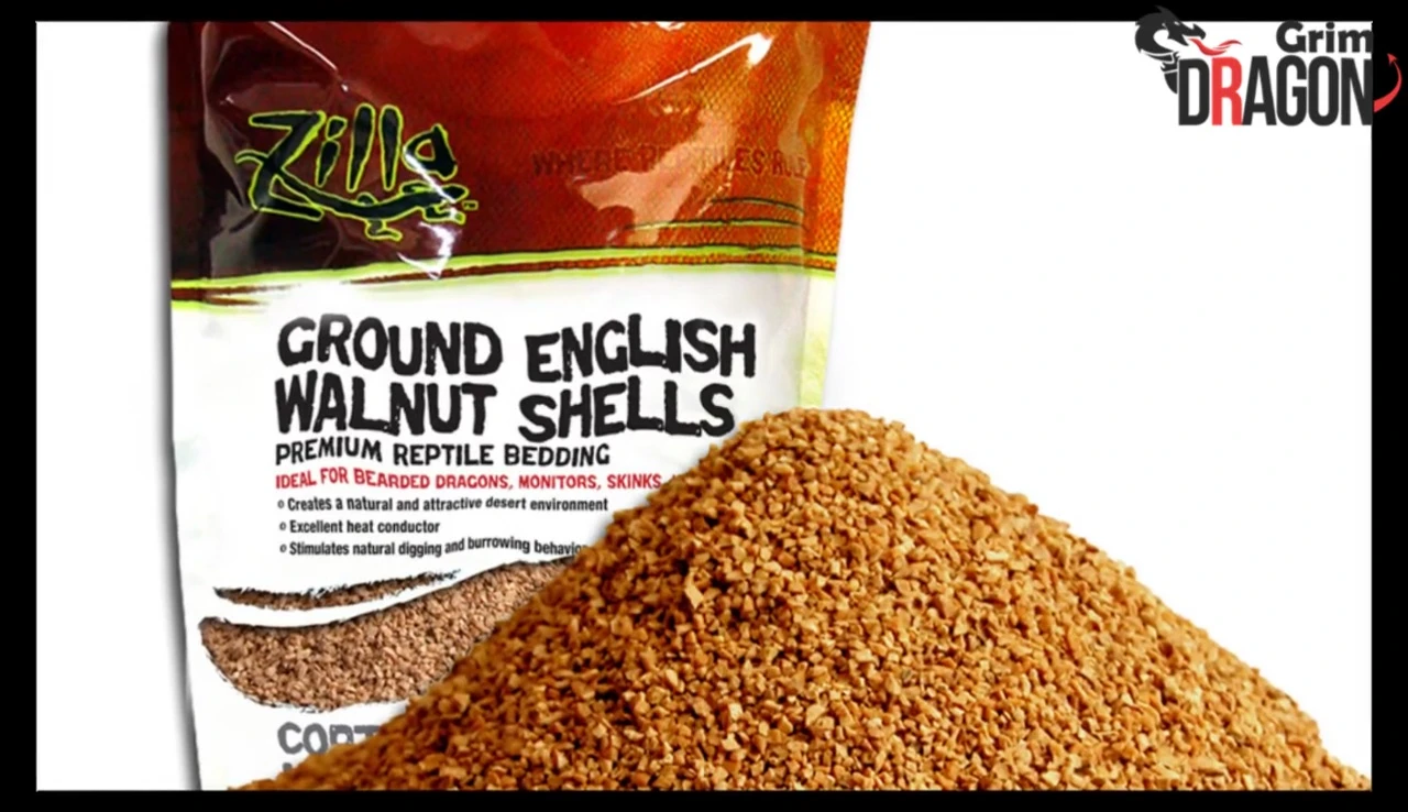 Bearded dragon in walnut shell bedding