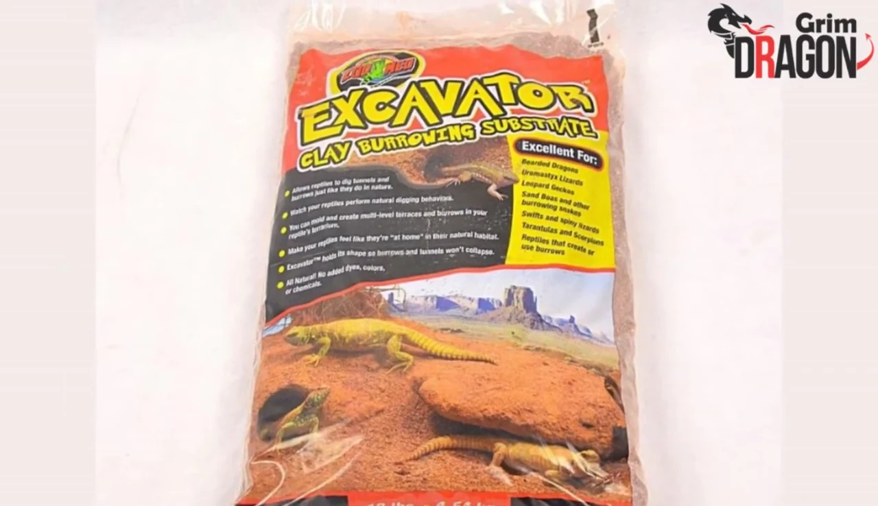 Bearded dragon interacting with excavator clay