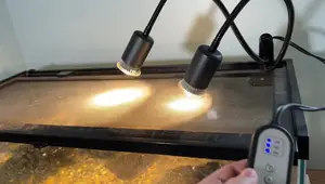 DTZY Reptile Heat Lamp Review: Double-Head Design for Optimal Heating
