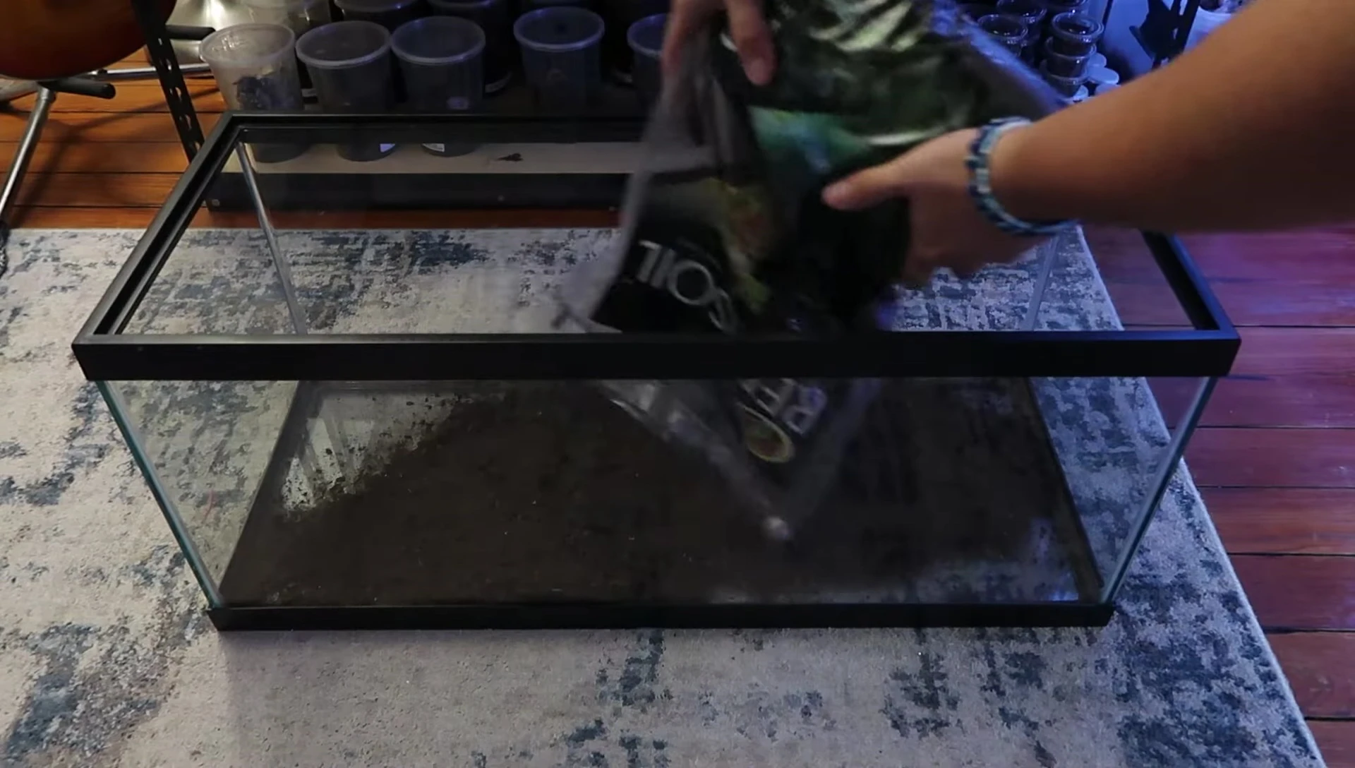 Repti soil being added to the enclosure.