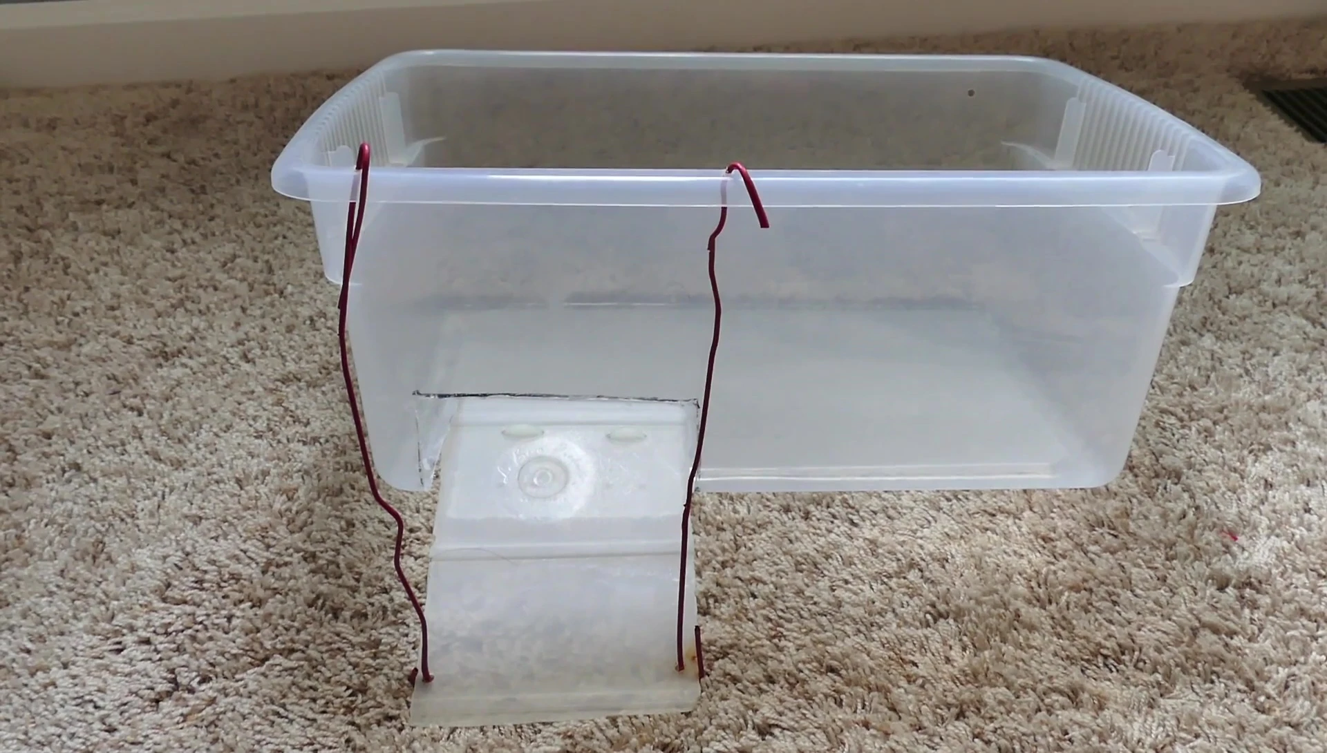 A finished basking platform.