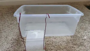 DIY Turtle Basking Platform: A Cheap and Easy Guide