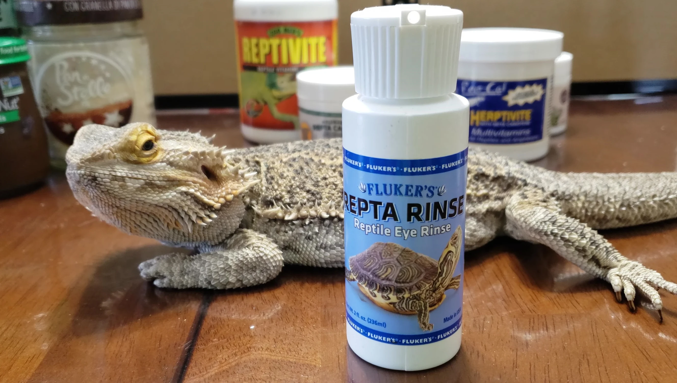 Bottle of ReptiRinse.