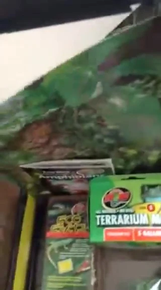 Back panel of the terrarium with the included backdrop.