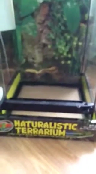 Final shot of the assembled terrarium.