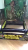 Zoo Med Naturalistic Terrarium Frog Kit Review: Is it Worth It?